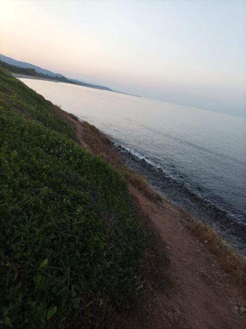 Villa Climatisee A Nuciola Prunete Entre Mer, Montagne Et Piscine Червйоне Екстер'єр фото
