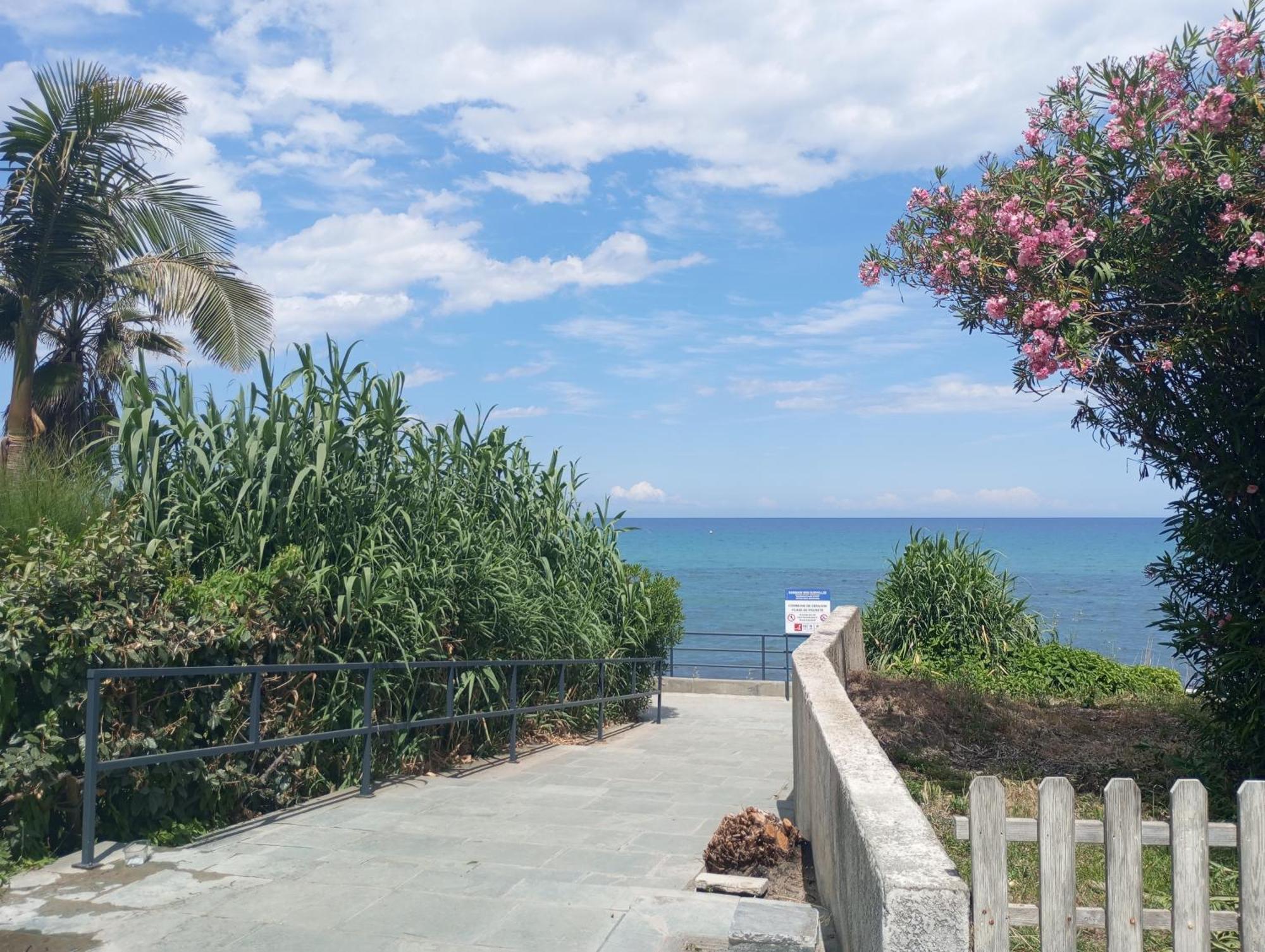 Villa Climatisee A Nuciola Prunete Entre Mer, Montagne Et Piscine Червйоне Екстер'єр фото