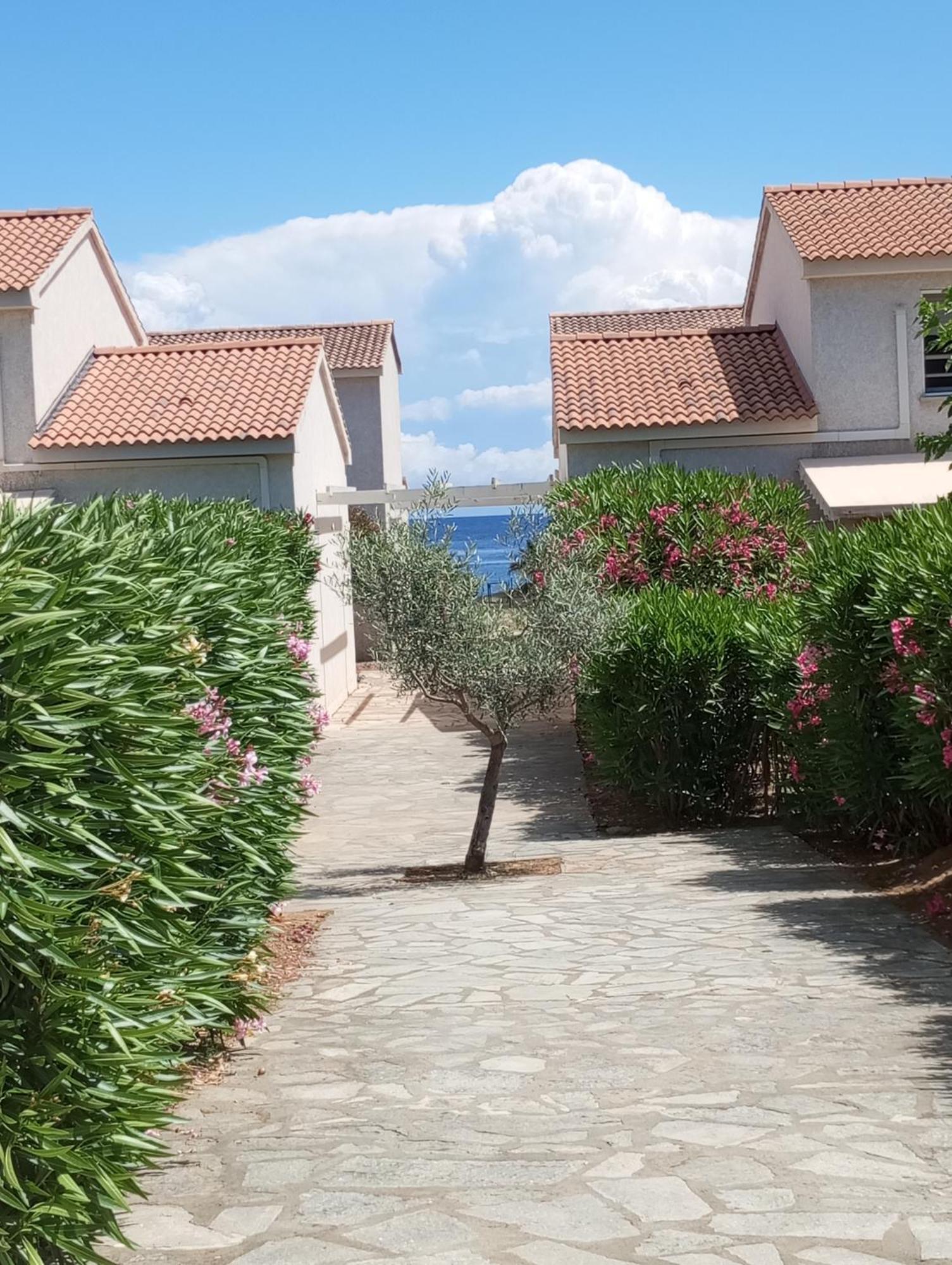 Villa Climatisee A Nuciola Prunete Entre Mer, Montagne Et Piscine Червйоне Екстер'єр фото