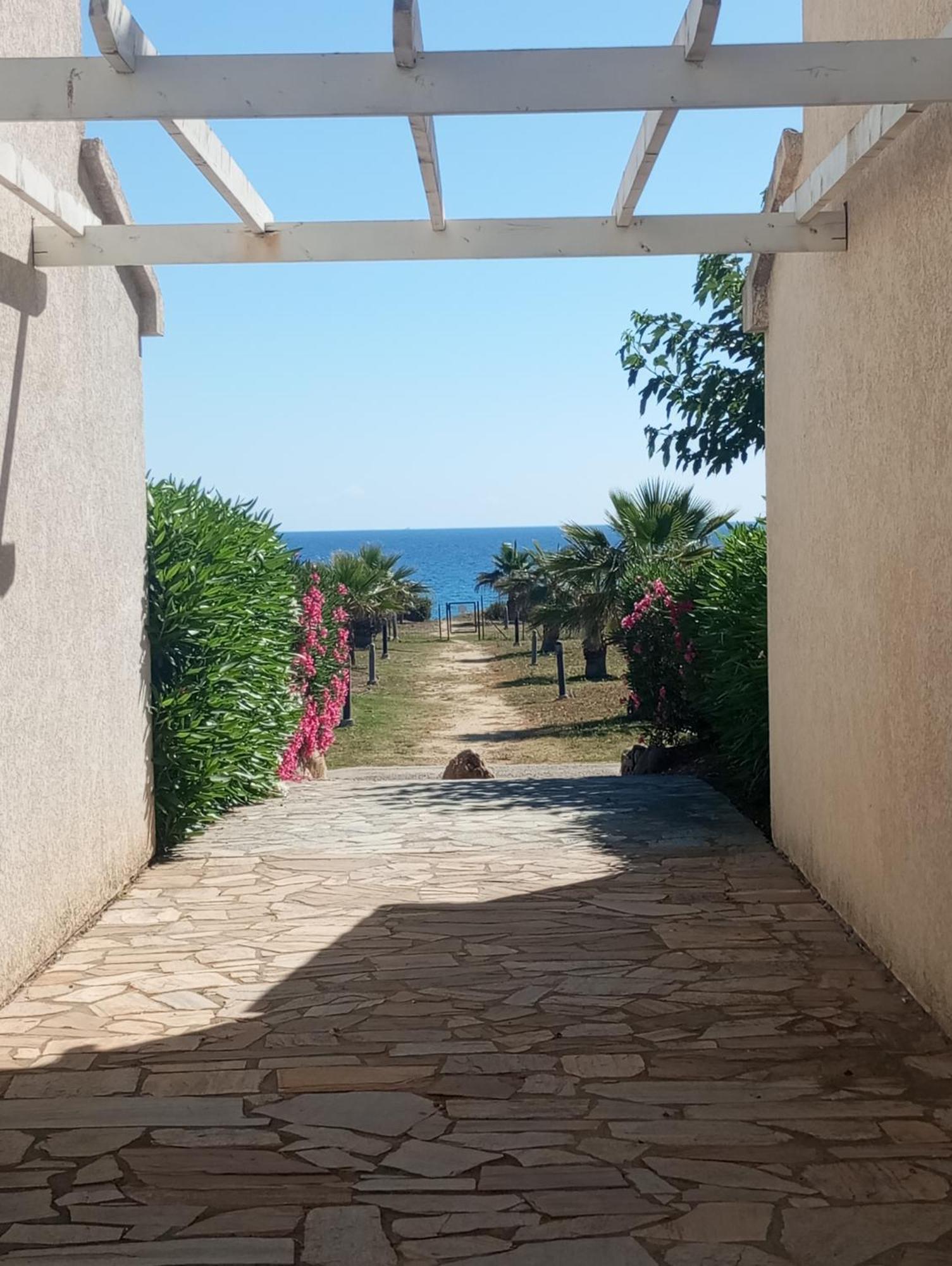Villa Climatisee A Nuciola Prunete Entre Mer, Montagne Et Piscine Червйоне Екстер'єр фото